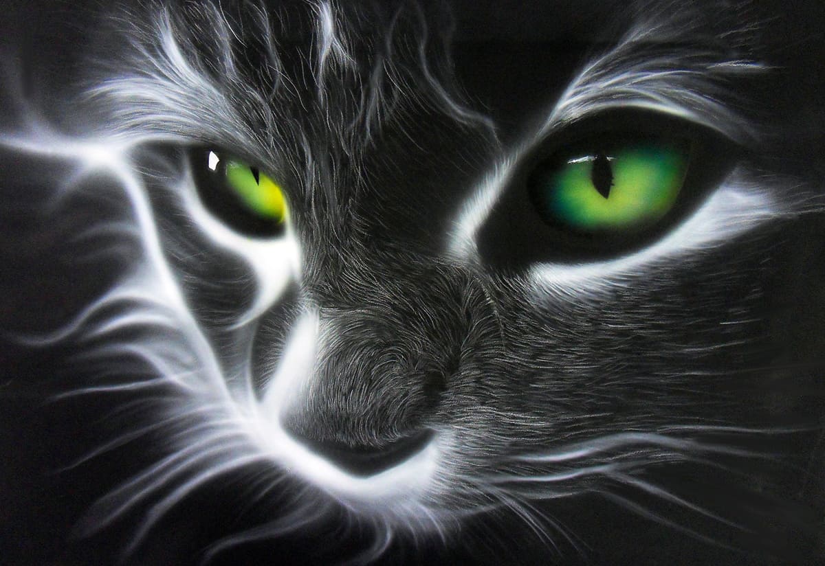 CatsEyes Aérographe sur bois, 2017 | 70 x 40 cm