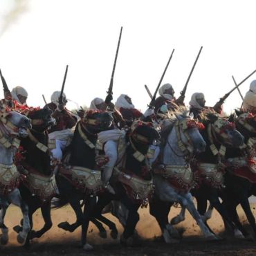 Photographie de Luz | Les chevaux du Maroc et de sa Majesté Mohammed VI
