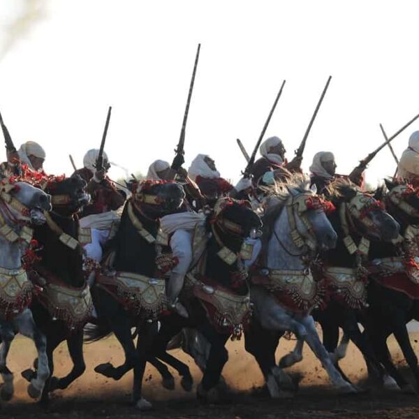 Photographie de Luz | Les chevaux du Maroc et de sa Majesté Mohammed VI