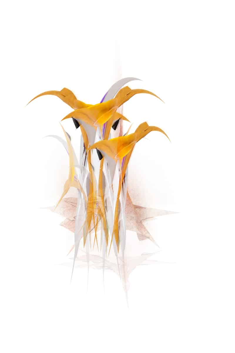 Art animalier par Paradox'Art. Trois couleurs dominent : blanc, orange et gris.