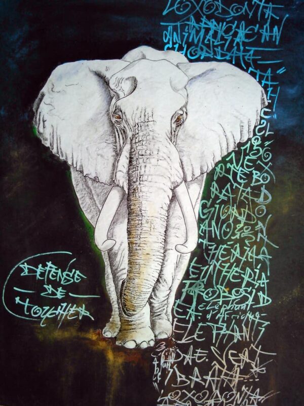 L'éléphant, sa majesté par Gier, peintre contemporain.