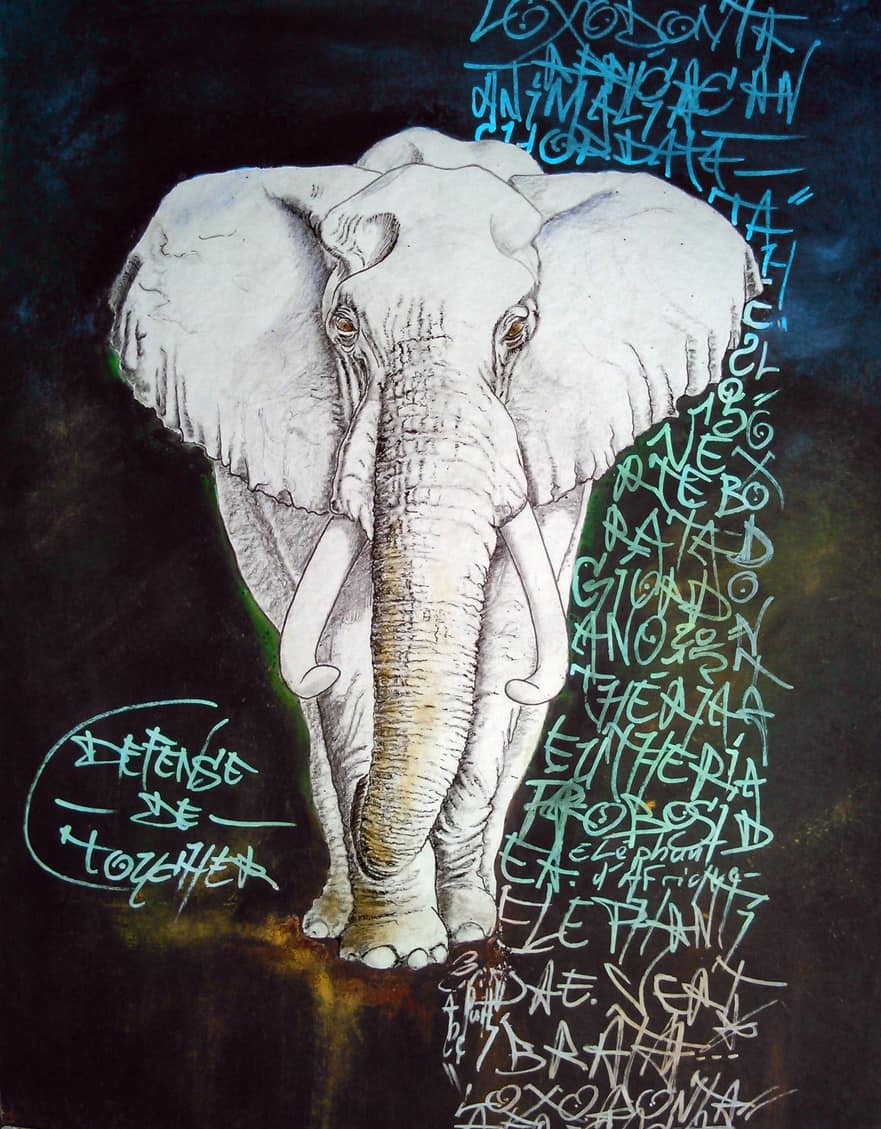 L'éléphant, sa majesté par Gier, peintre contemporain.