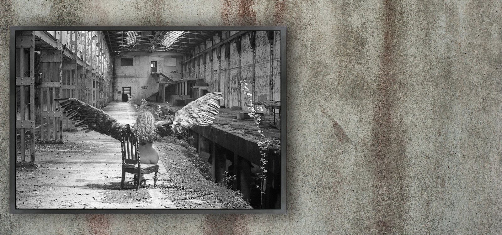 Photographie d'Art Contemporain